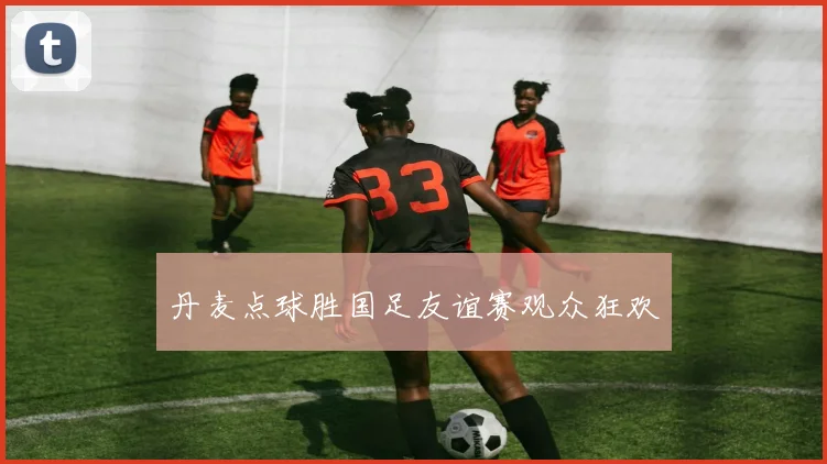 丹麦点球胜国足友谊赛观众狂欢