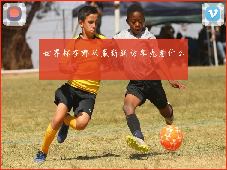 世界杯在哪买最新新访客先看什么