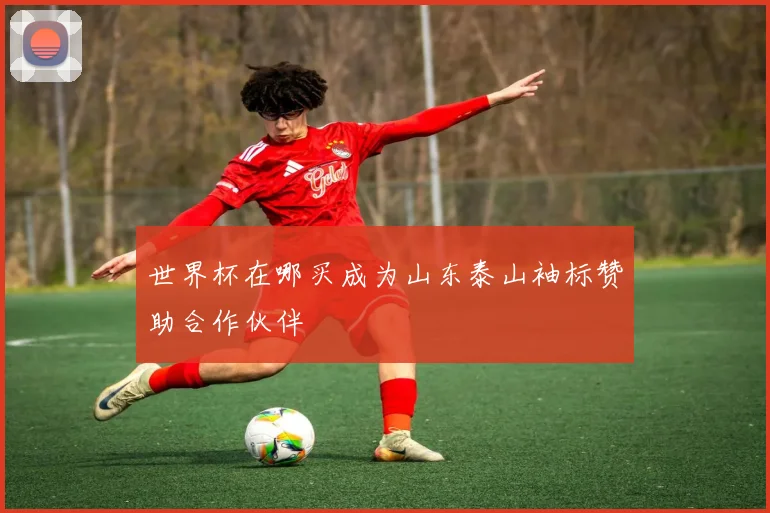 世界杯在哪买成为山东泰山袖标赞助合作伙伴