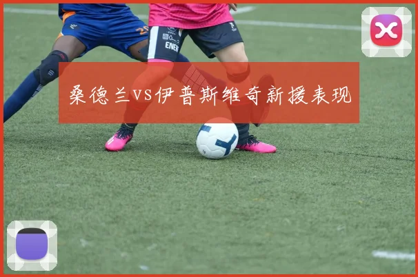 桑德兰vs伊普斯维奇新援表现