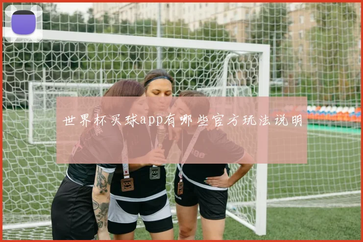 世界杯买球app有哪些官方玩法说明