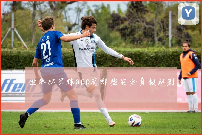 世界杯买球app有哪些安全真假辨别