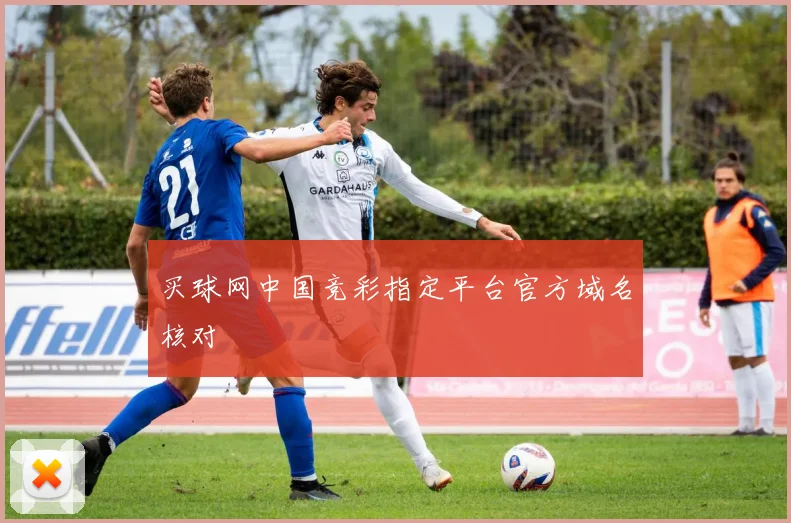 买球网中国竞彩指定平台官方域名核对