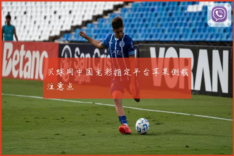 买球网中国竞彩指定平台苹果侧载注意点